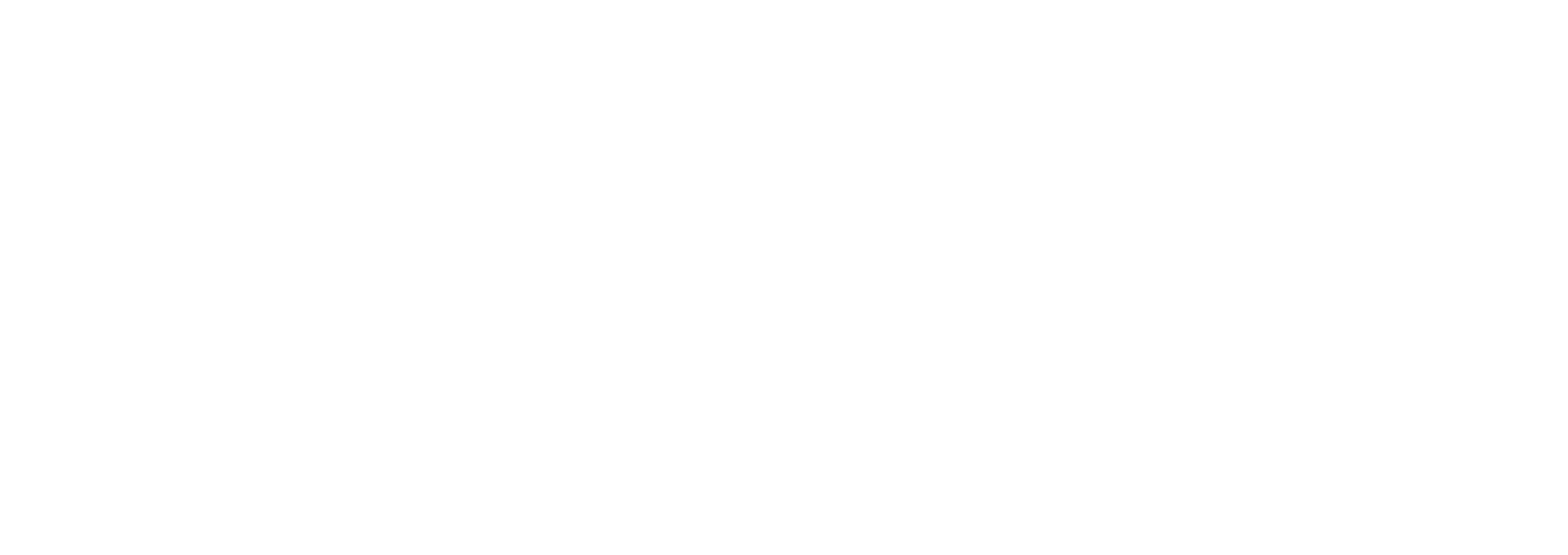 AAN_Logo_1c_neg-1-1-1-1